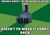 RuneScape