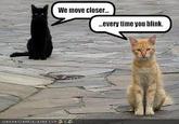 LOLcats