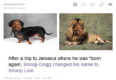 Snoop Lion