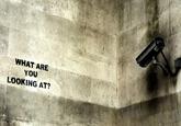 Trapwire Surveillance Leak