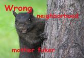 You Came to the Wrong Neighborhood