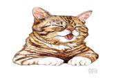 Lil Bub