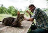 Lil Bub