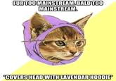 Hipster Kitty