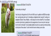 Copypasta