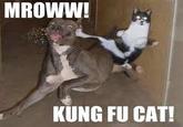 LOLcats