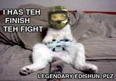 LOLcats