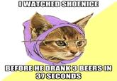 Hipster Kitty