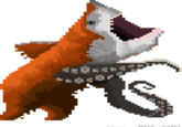 Bearsharktopus