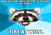 Lame Pun Coon