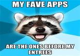 Lame Pun Coon