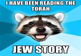 Lame Pun Coon