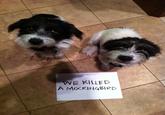 Dogshaming