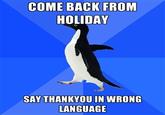 Socially Awkward Penguin