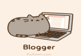 Pusheen
