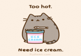 Pusheen