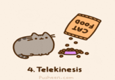 Pusheen