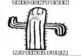 This Isn't Even My Final Form
