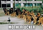 You Came to the Wrong Neighborhood