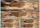Fingerboxes