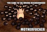 You Came to the Wrong Neighborhood