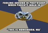 Art Student Owl