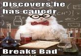 Chemistry Cat