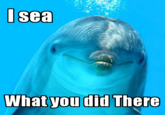 I See What You Did There