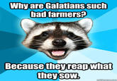 Lame Pun Coon