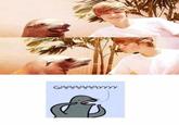 Homophobic Seal