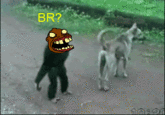 Huahuehuahue