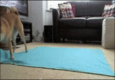 Do A Barrel Roll