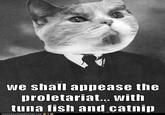 Lenin Cat
