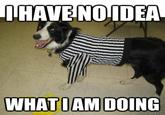 NFL Replacement Refs