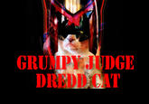 Grumpy Cat
