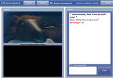 Chatroulette