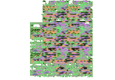MissingNo.