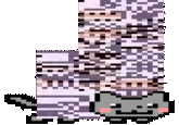 MissingNo.