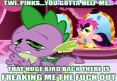 My Little Pony: Friendship is Magic