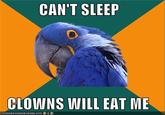 Can't sleep, clown will eat me