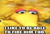 Fired Big Bird / Mitt Romney Hates Big Bird