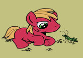 My Little Pony: Friendship is Magic