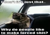 Introspective Pug