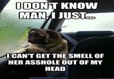 Introspective Pug