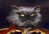 Colonel Meow