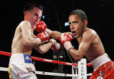 2012 United States Presidential Election
