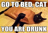 Go Home, You Are Drunk