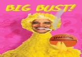 Fired Big Bird / Mitt Romney Hates Big Bird