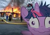 Disaster Girl