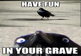Insanity Crow